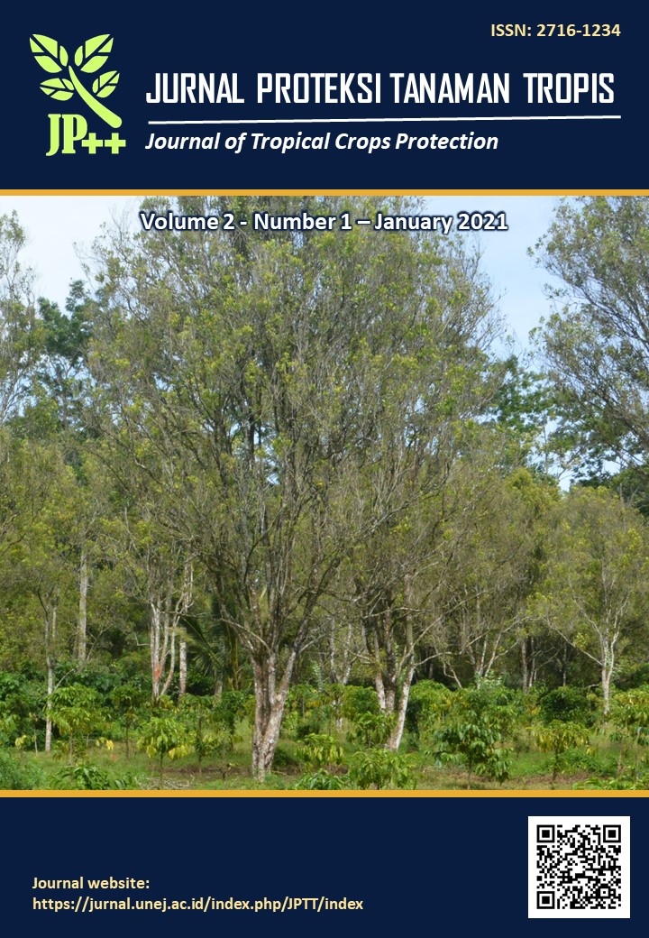 					View Vol. 2 No. 1 (2021): January
				